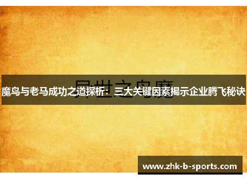魔鸟与老马成功之道探析：三大关键因素揭示企业腾飞秘诀
