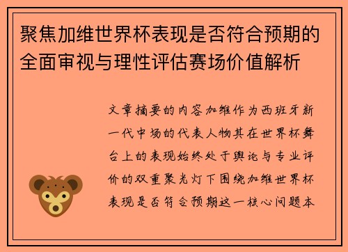聚焦加维世界杯表现是否符合预期的全面审视与理性评估赛场价值解析